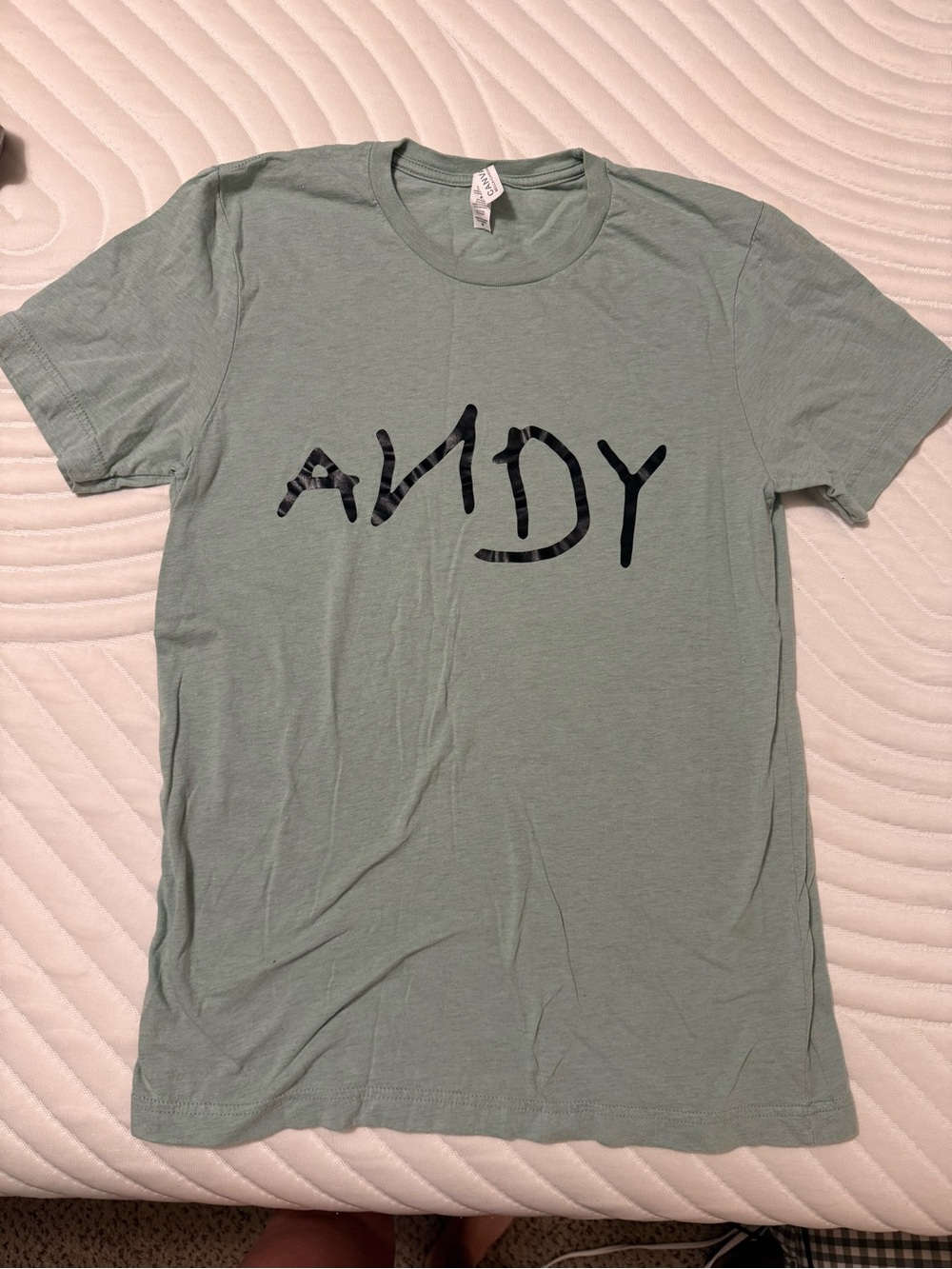 Toy Story Andy Graphic Short-Sleeve Tee- Bella Canvas Sage Green